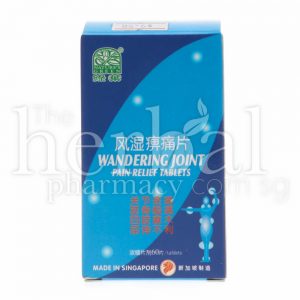 NATURE'S GREEN WANDERING JOINT PAIN RELIVING TABLETS 60'S